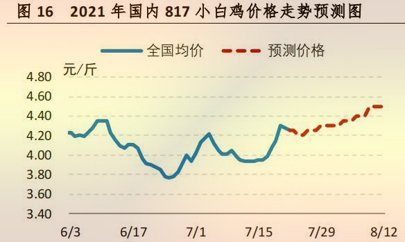 國(guó)內(nèi) 817 小白雞價(jià)格走勢(shì)預(yù)測(cè)圖