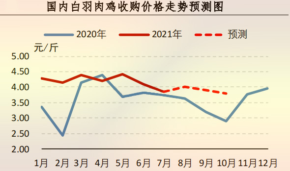 肉雞價(jià)格走勢預(yù)測圖