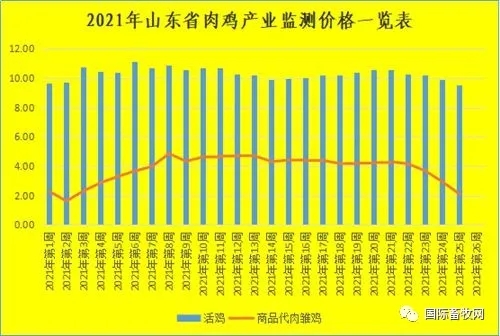 山東省肉雞產(chǎn)業(yè)監(jiān)測價格