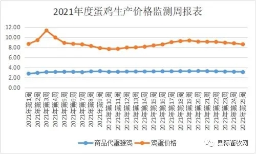 蛋雞生產(chǎn)價格