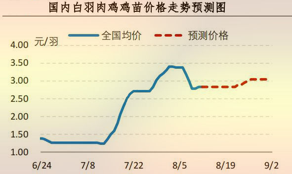 白羽肉雞雞苗價(jià)格走勢(shì)預(yù)測(cè)