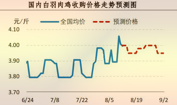 白羽肉雞價(jià)格走勢(shì)預(yù)測(cè)
