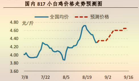 國內(nèi) 817 小白雞價(jià)格走勢(shì)預(yù)測(cè)圖