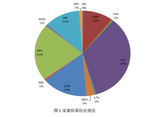 家禽病原檢出情況