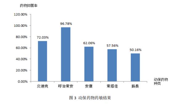 動(dòng)物藥敏結(jié)果