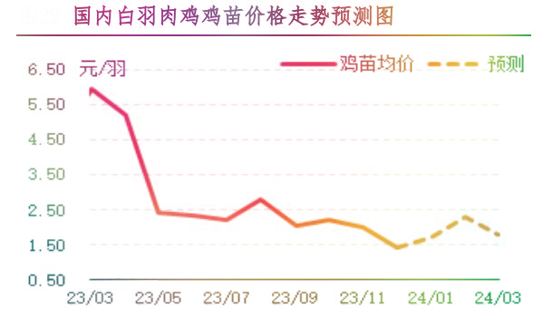 12月肉雞市場(chǎng)行情分析及1月行情預(yù)測(cè)