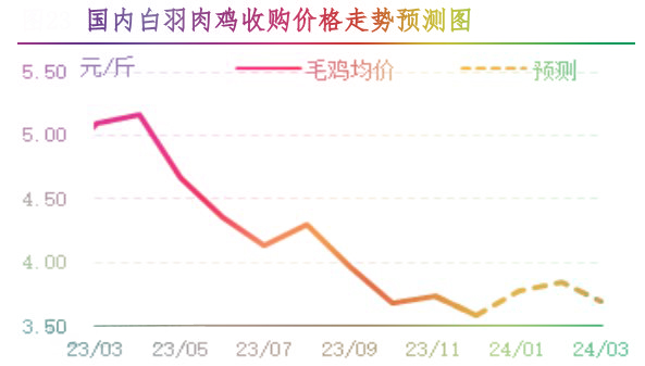 12月肉雞市場(chǎng)行情分析及1月行情預(yù)測(cè)