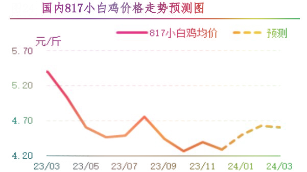 12月肉雞市場(chǎng)行情分析及1月行情預(yù)測(cè)