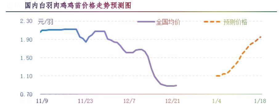 肉雞市場(chǎng)行情匯總