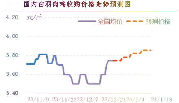 肉雞市場(chǎng)行情匯總