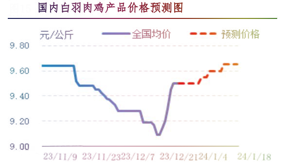 肉雞市場(chǎng)行情匯總