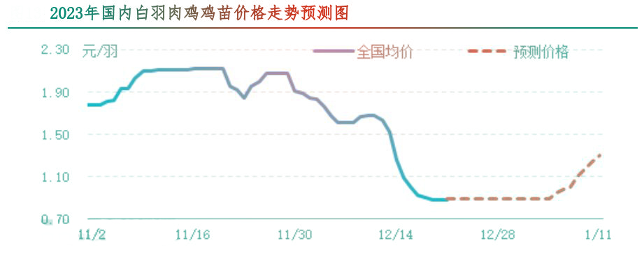 肉雞市場(chǎng)行情匯總