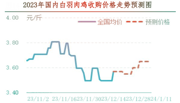 肉雞市場(chǎng)行情匯總