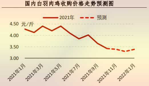 白羽肉雞價格走勢