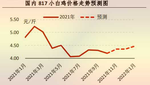 817小白雞價格走勢