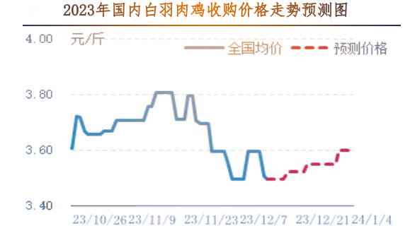 肉雞市場行情匯總