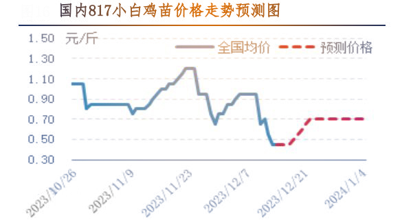 肉雞市場行情匯總