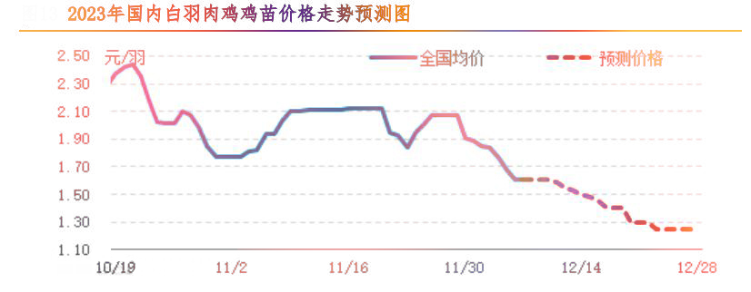 肉雞市場(chǎng)行情匯總