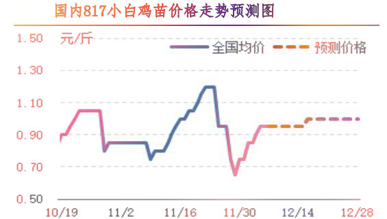 肉雞市場(chǎng)行情匯總