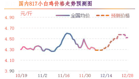 肉雞市場(chǎng)行情匯總
