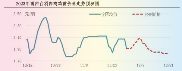肉雞市場行情匯總