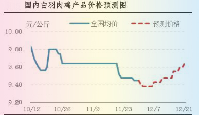 肉雞市場行情匯總