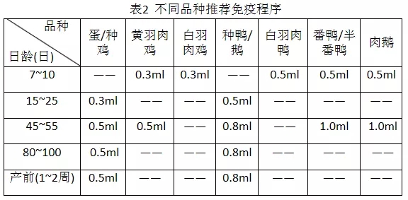不同品種免疫程序參考