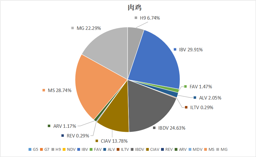 2023年11月白羽肉雞疫病檢測(cè)分析報(bào)告