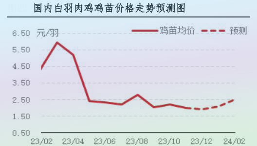 11月肉雞市場行情分析及12月行情預測