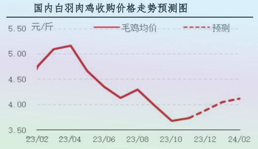 11月肉雞市場行情分析及12月行情預測