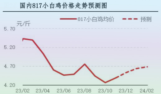 11月肉雞市場行情分析及12月行情預測