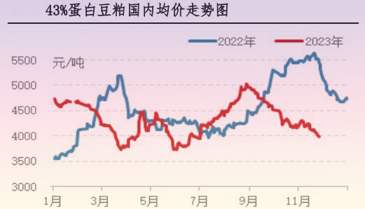 11月肉雞市場行情分析及12月行情預測