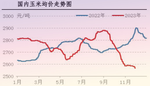 11月肉雞市場行情分析及12月行情預測