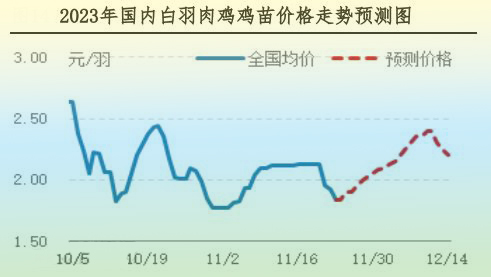 肉雞市場行情匯總