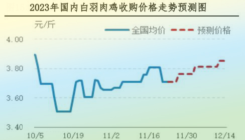 肉雞市場行情匯總