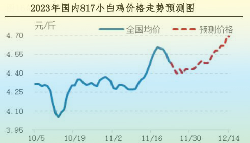 肉雞市場行情匯總