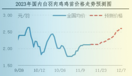 肉雞市場行情匯總