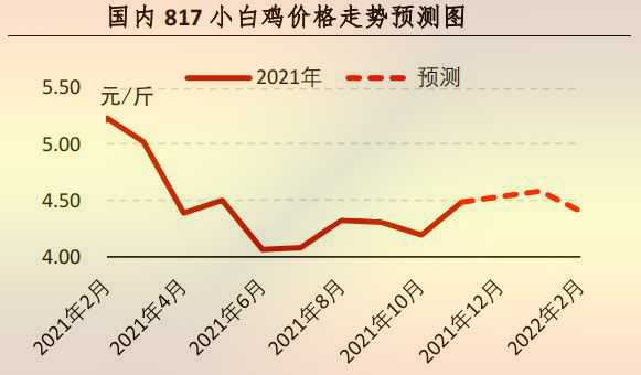 【行情】11月肉雞市場行情分析及12月預(yù)測