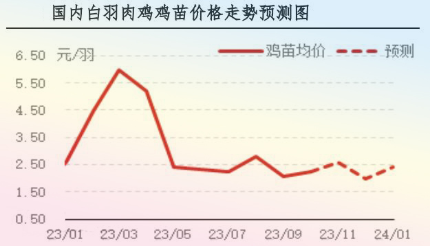 10月肉雞市場(chǎng)行情分析及11月行情預(yù)測(cè)