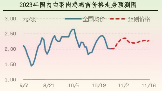 肉雞市場行情匯總