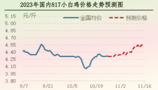 肉雞市場行情匯總