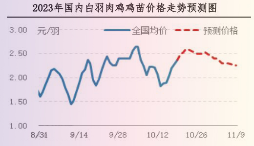 肉雞市場(chǎng)行情匯總