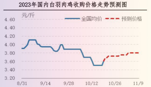 肉雞市場(chǎng)行情匯總