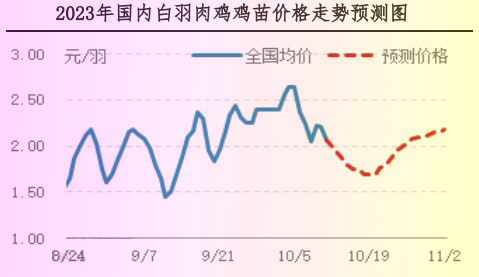 肉雞市場(chǎng)行情匯總