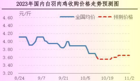 肉雞市場(chǎng)行情匯總