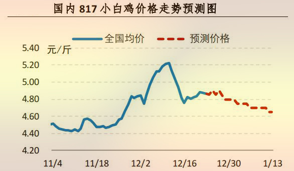 817小白雞