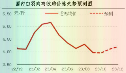 9月肉雞市場行情分析及10月行情預測
