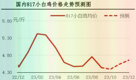 9月肉雞市場行情分析及10月行情預測