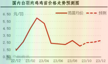9月肉雞市場行情分析及10月行情預測