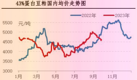 9月肉雞市場行情分析及10月行情預測
